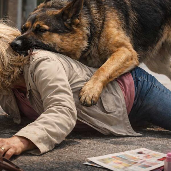 Ocho años de espera: Ganó un juicio por un ataque de un perro en Lomas de Zamora