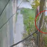 Un nene de 5 años fue arrastrado por un colectivo en Fiorito y se encuentra herido