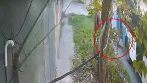 Un nene de 5 años fue arrastrado por&hellip;