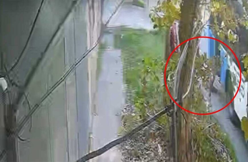 Un nene de 5 años fue&hellip;