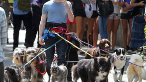 ¿Nueva salida laboral? Lomas abre un curso gratuito&hellip;