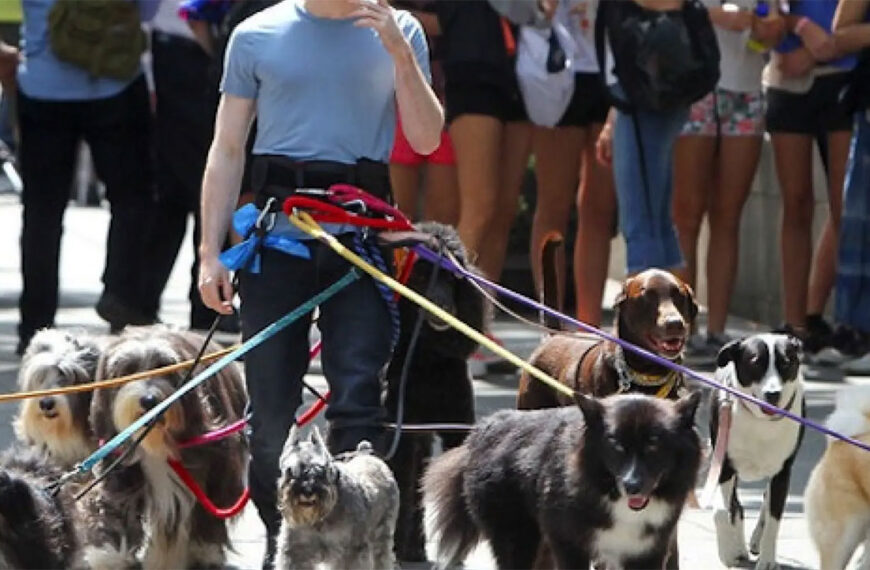 ¿Nueva salida laboral? Lomas abre un&hellip;