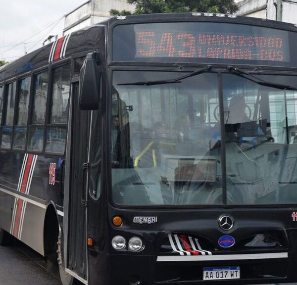 Otro golpe al bolsillo: suben 11,6% las tarifas de colectivos desde este lunes