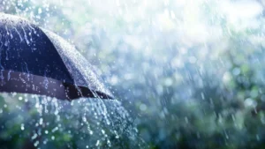 Alerta Meteorológica en la región: llegan tormentas, ráfagas&hellip;