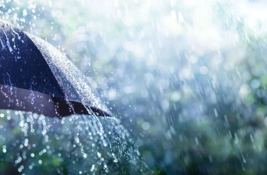 Alerta Meteorológica en la región: llegan&hellip;