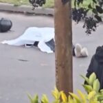 Sangre y plomo en Ingeniero Budge: un policía de la UTOI abatió a un delincuente tras una brutal emboscada