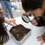Lomas continúa con su propuesta para vacaciones de invierno con la gran Feria de Ciencias en Plaza Grigera y teatro gratuito
