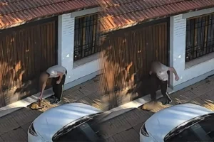 Maltrato animal en Temperley: habló la madre del&hellip;