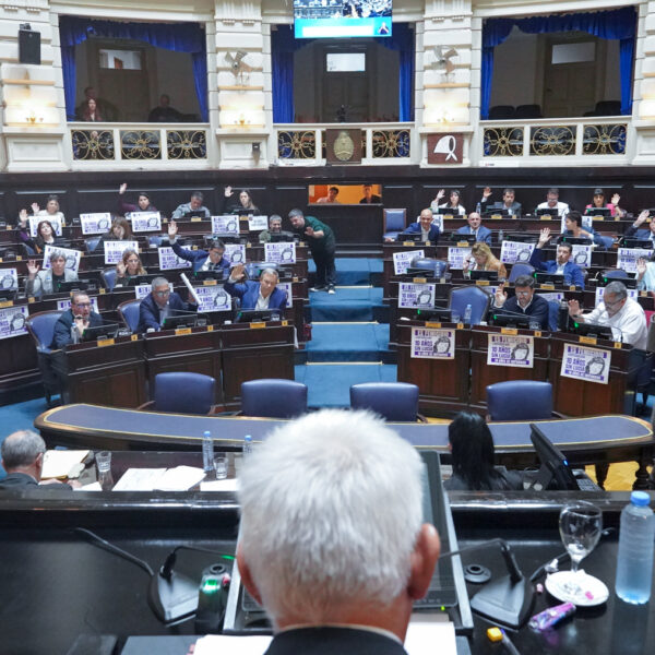 La Cámara de Diputados bonaerense aprobó un paquete de leyes contra el endeudamiento familiar